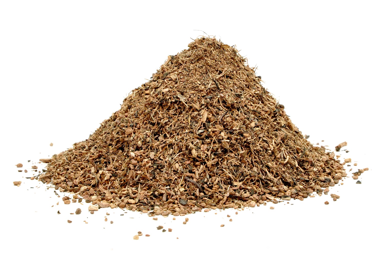 Organic Trachyspermum Ammi (Ajwain) Seeds Powder