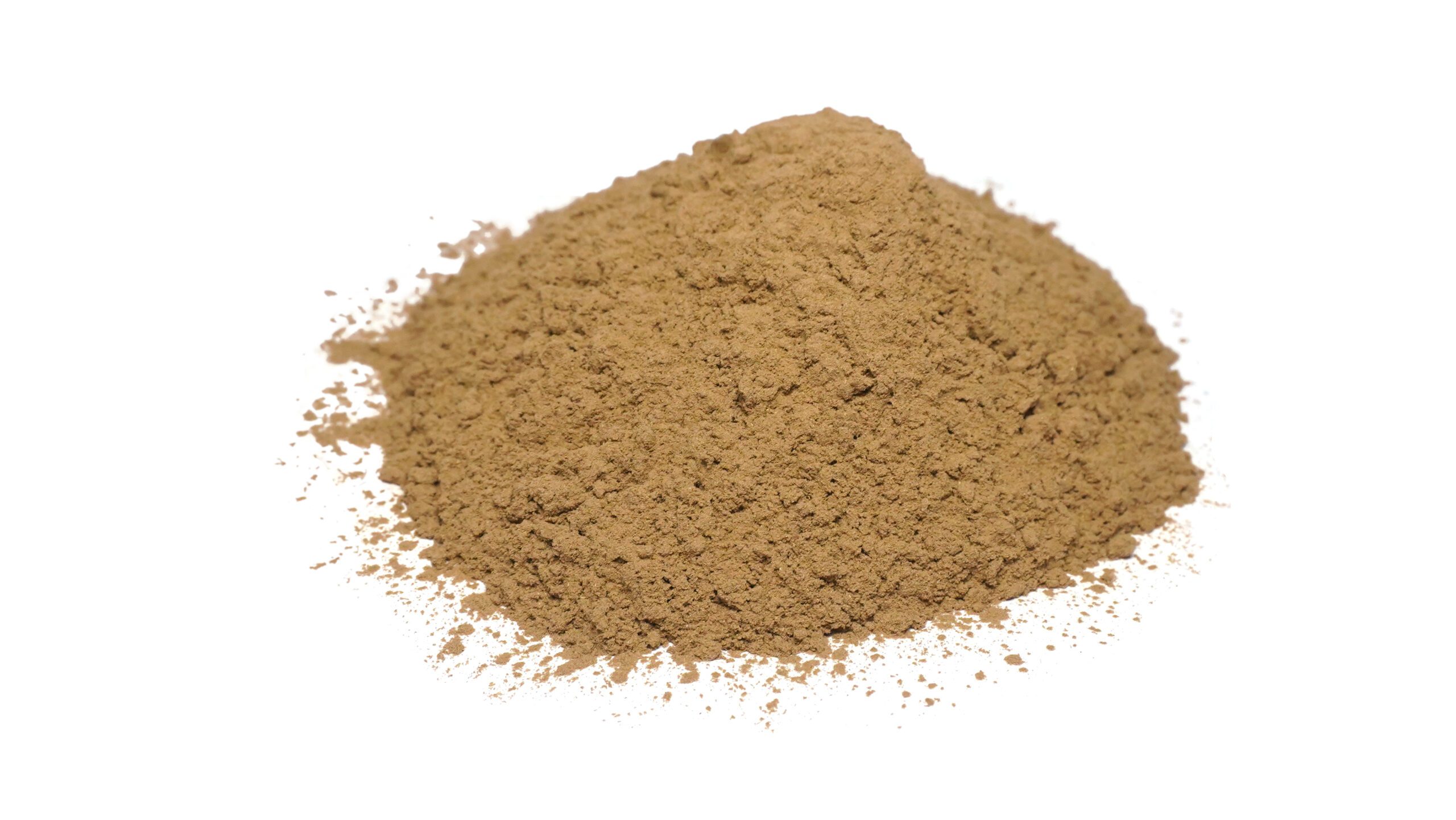 Organic Trachyspermum Ammi (Ajwain) Seeds Powder