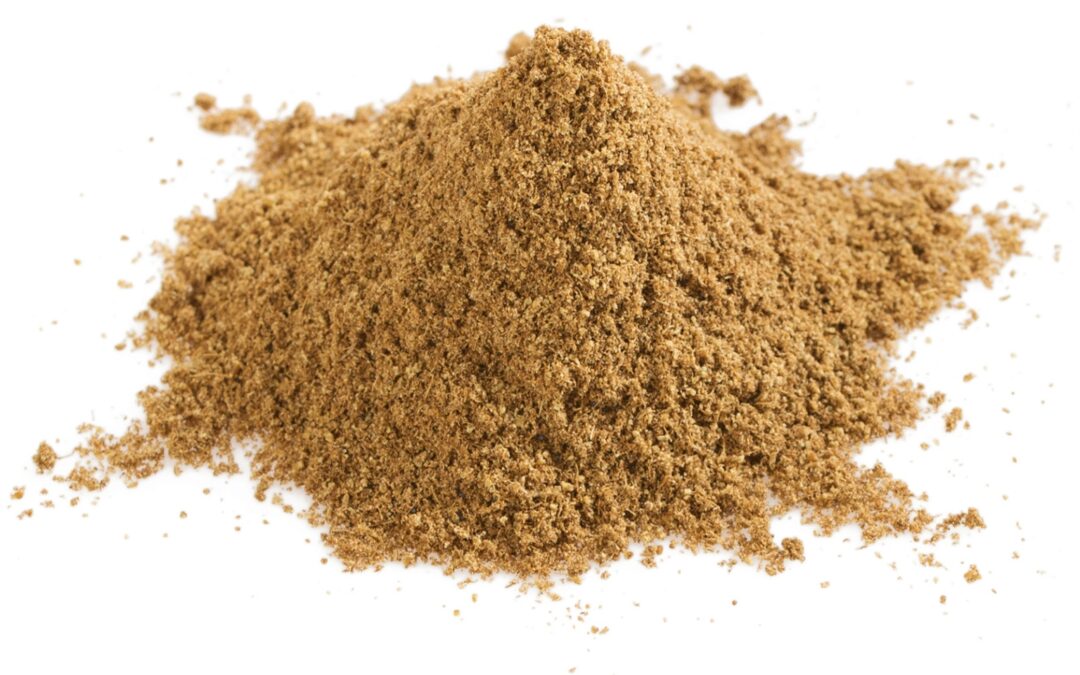 Organic Cuminum cyminum (Cumin) Seeds