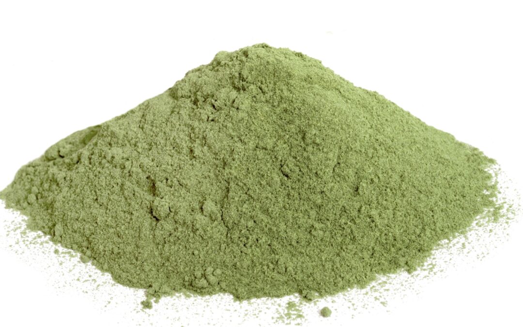 Organic Cymbopogon citratus (Lemon grass) Powder