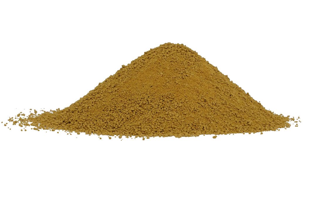 Organic Zingiber officinale (Ginger) Rhizome