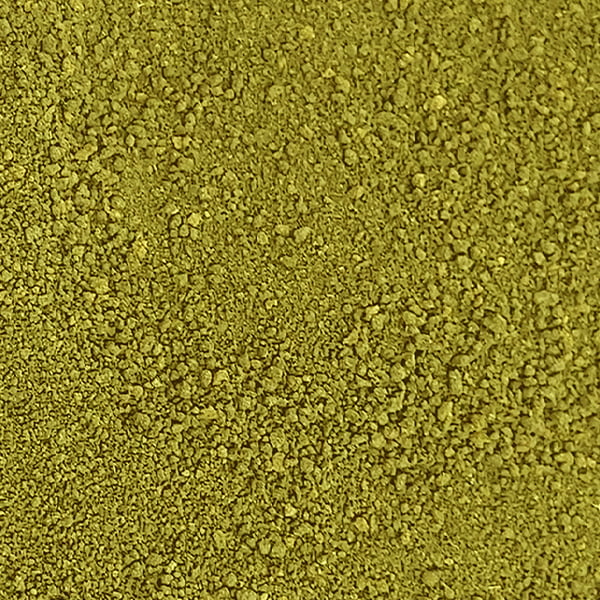 Organic Trachyspermum Ammi (Ajwain) Seeds Powder