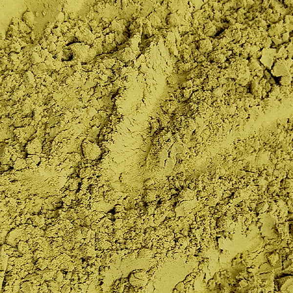 Organic Trachyspermum Ammi (Ajwain) Seeds Powder