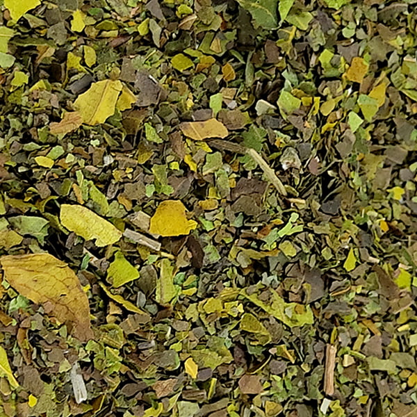 Organic Trachyspermum Ammi (Ajwain) Seeds Powder