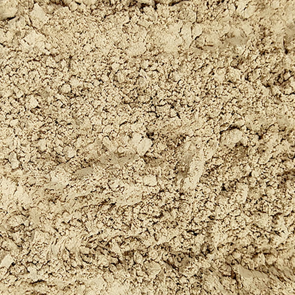 Organic Trachyspermum Ammi (Ajwain) Seeds Powder