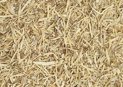 Organic Boerhaavia diffusa (Punarnava) Roots