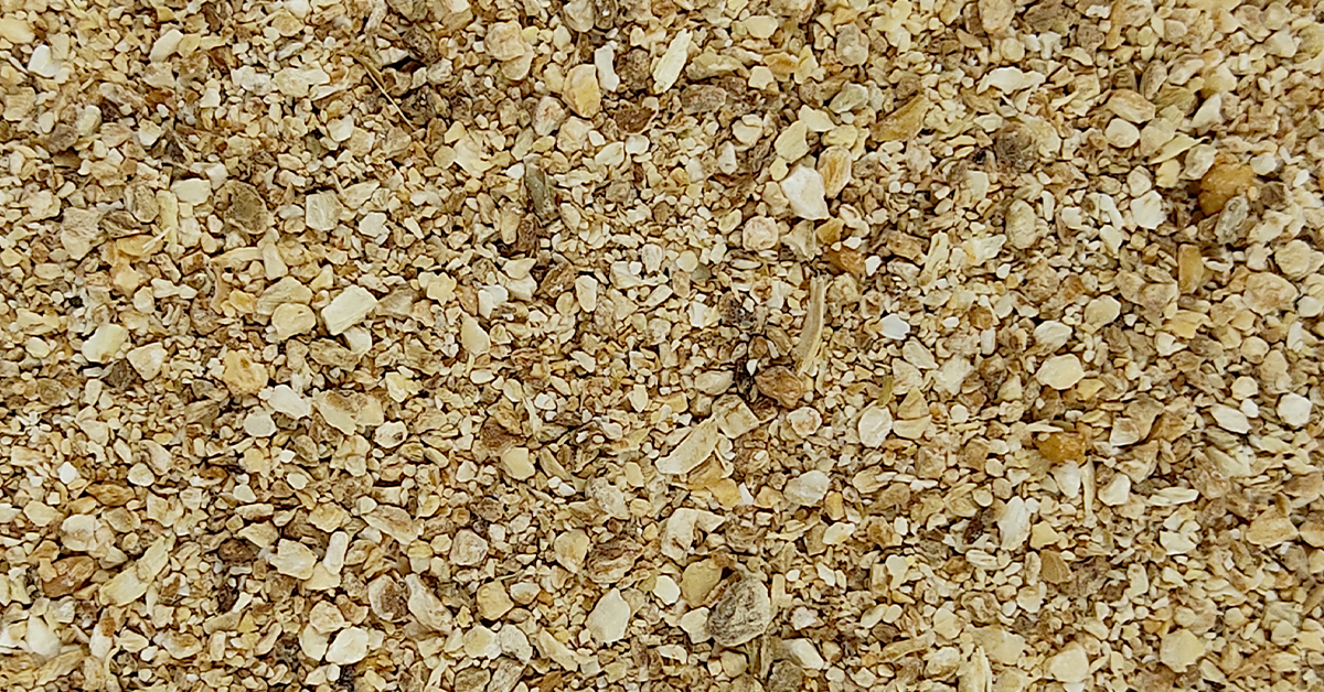 Organic Trachyspermum Ammi (Ajwain) Seeds Powder