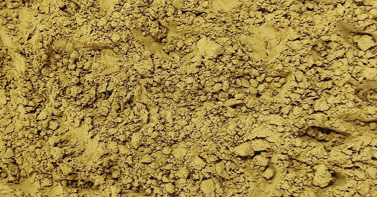 Organic Trachyspermum Ammi (Ajwain) Seeds Powder
