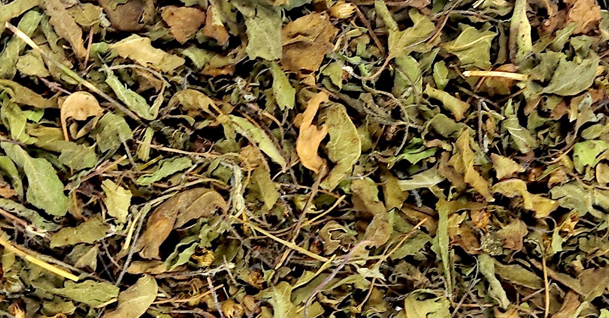 Organic Trachyspermum Ammi (Ajwain) Seeds Powder