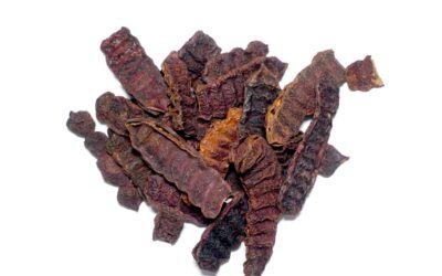 Organic Acacia concinna (Shikakai) Pods