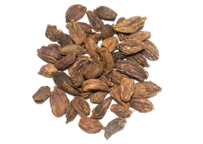 Organic Amomum bubulatum (Black Cardamom) Fruits