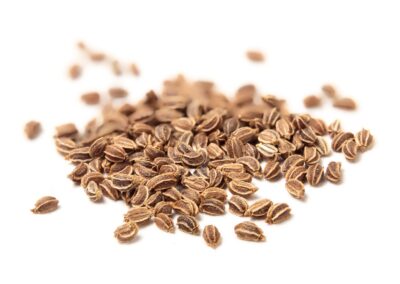 Organic Apium graveolens (Celery) Seeds