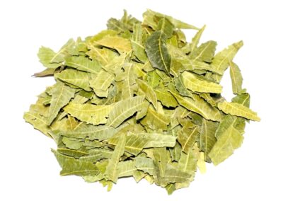 Organic Azadirachta indica (Neem) Leaves