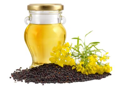 Organic Brassica nigra (Mustard) Seeds
