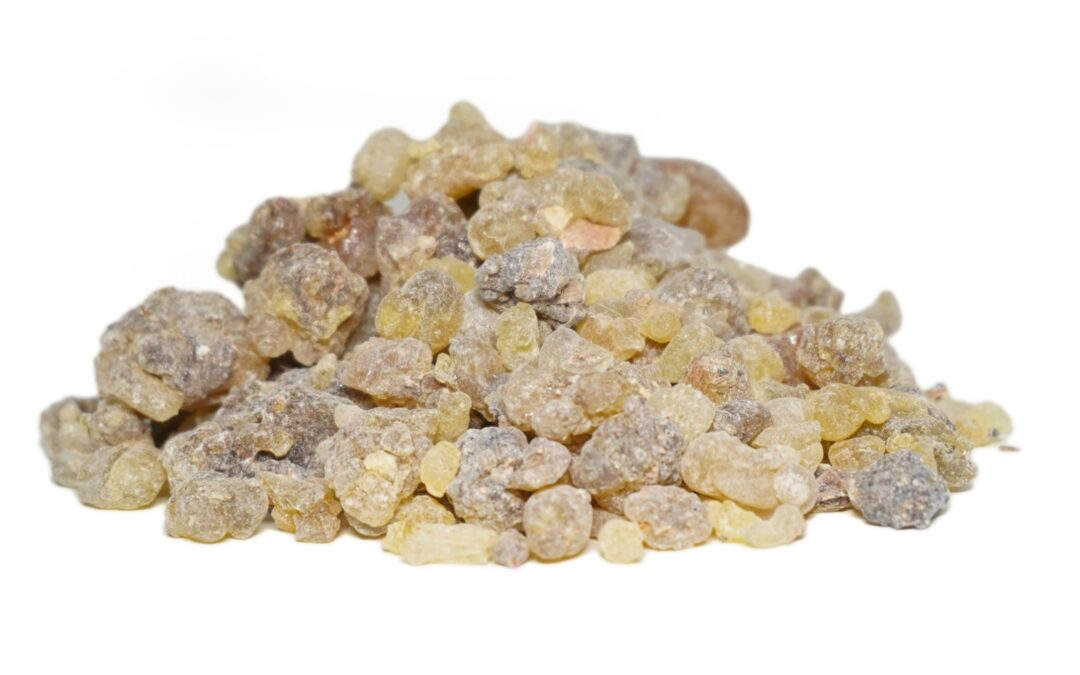Organic Boswellia serrata (Shallaki) Oleo-Resin Whole