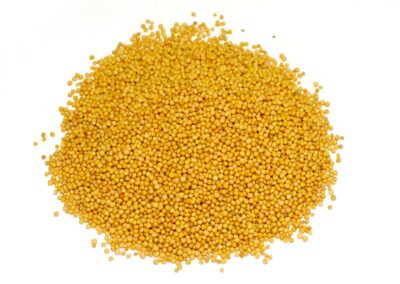 Organic Brassica alba (Yellow Mustard) Seeds