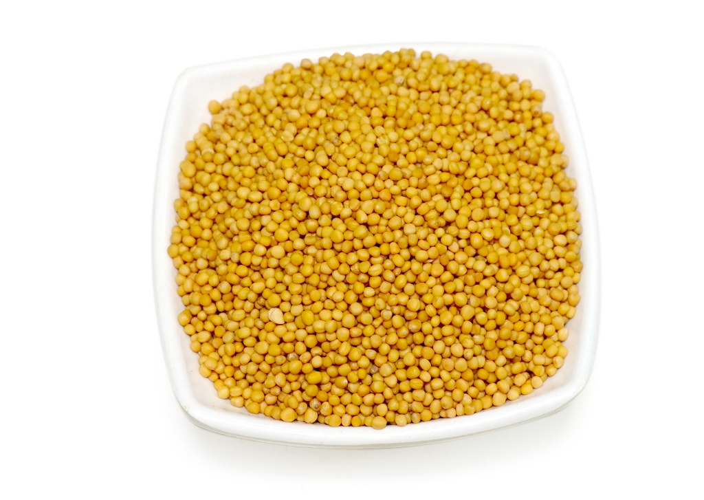 Organic Trachyspermum Ammi (Ajwain) Seeds Powder