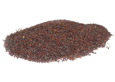 Organic Brassica juncea (Brown Mustard) Seeds