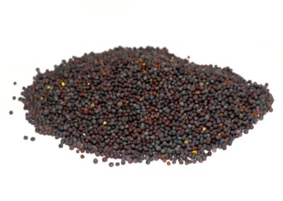 Organic Brassica nigra (Mustard) Seeds