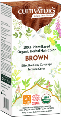 Organic Trachyspermum Ammi (Ajwain) Seeds Powder