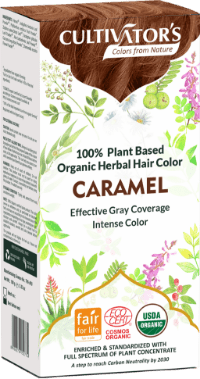 Organic Trachyspermum Ammi (Ajwain) Seeds Powder