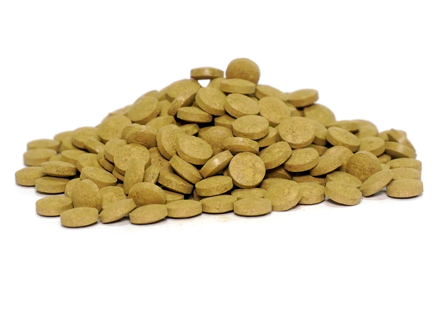 Organic Trachyspermum Ammi (Ajwain) Seeds Powder