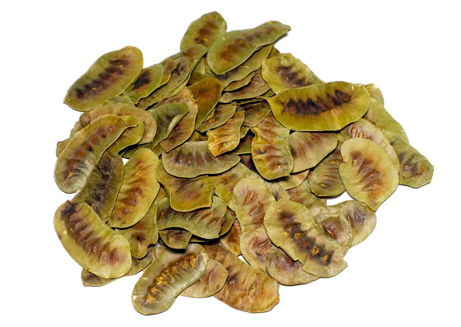 Organic Trachyspermum Ammi (Ajwain) Seeds Powder