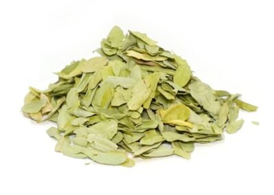 Organic Cassia auriculata (Cassia) Leaves