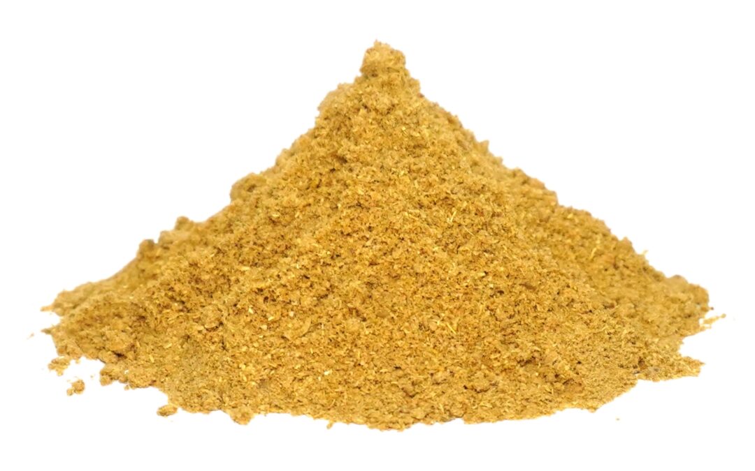 Organic Coriandrum sativum (Coriander) Seeds