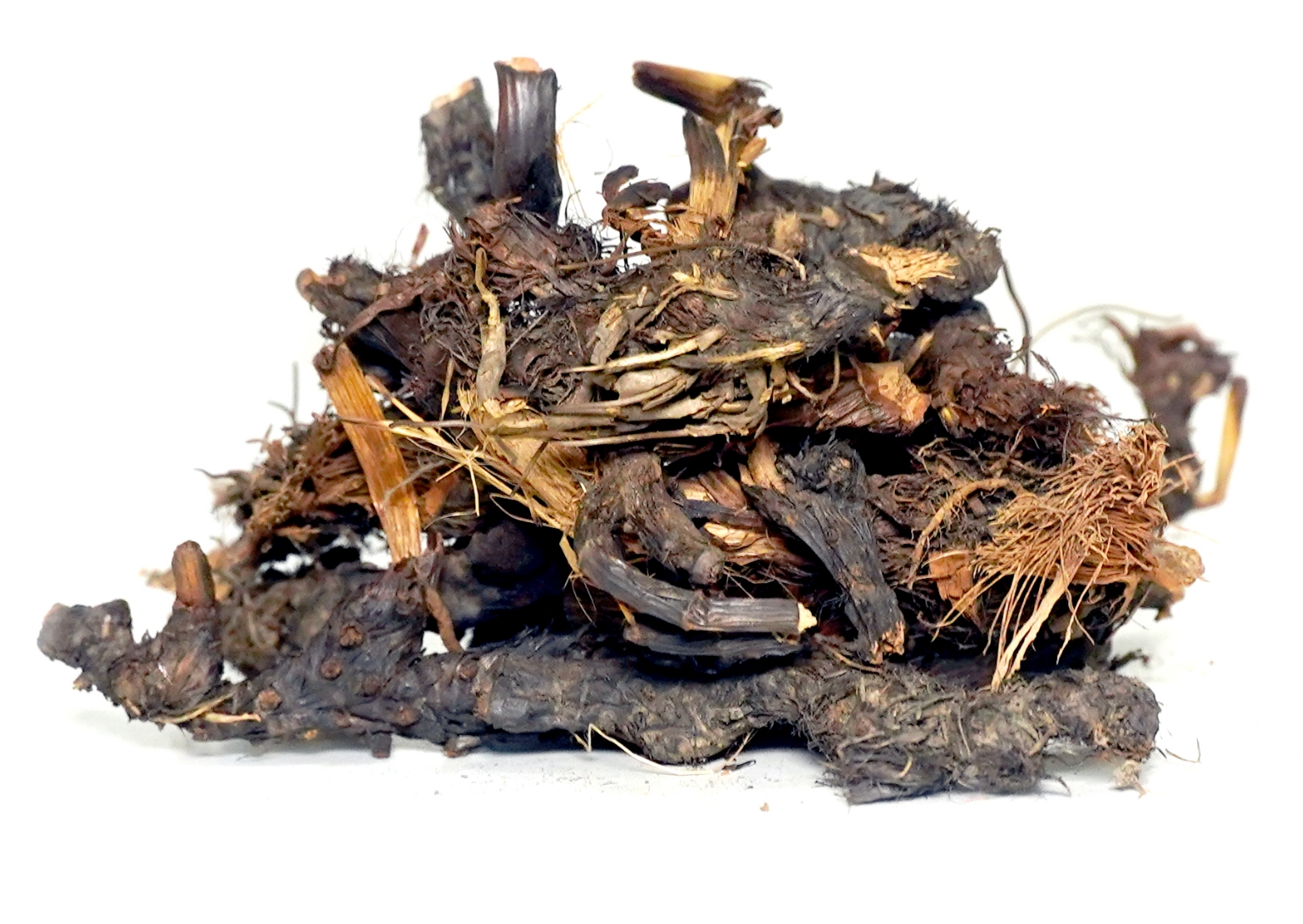 Organic Trachyspermum Ammi (Ajwain) Seeds Powder