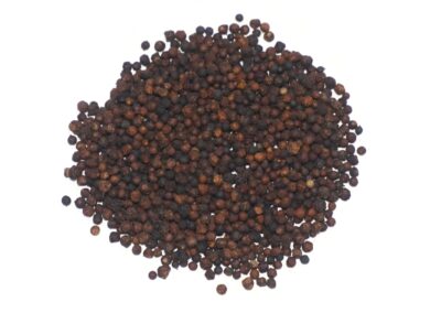 Organic Embelia ribes (Vidanga) Fruits