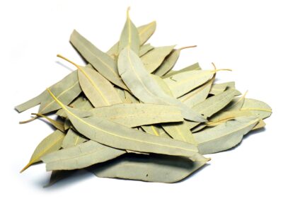 Organic Eucalyptus globulus (Eucalyptus) Leaves