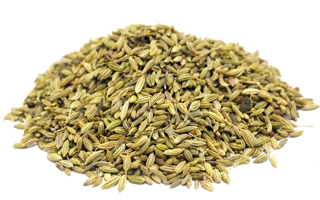 Organic Foeniculum vulgare (Fennel) Seeds
