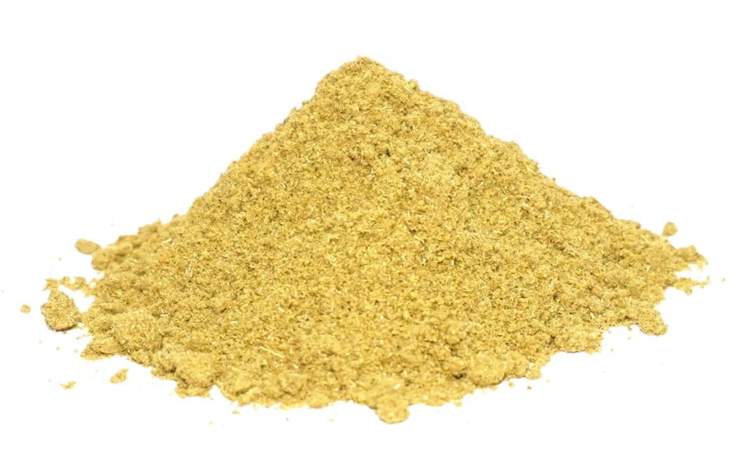 Organic Foeniculum vulgare (Fennel) Seeds