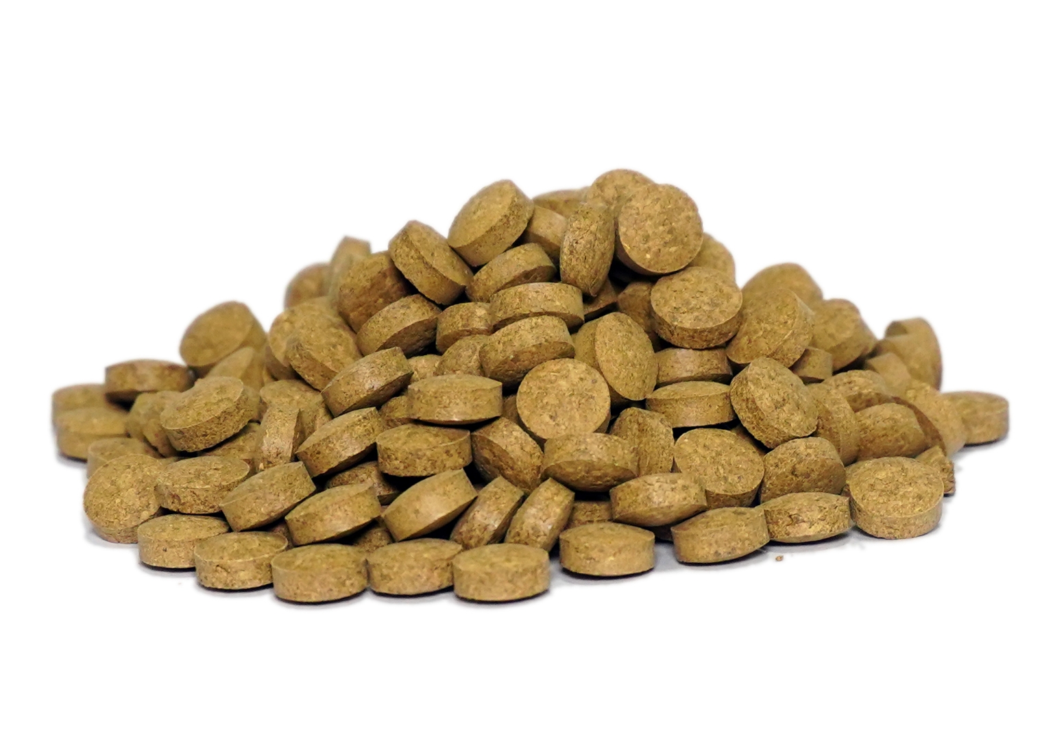 Organic Trachyspermum Ammi (Ajwain) Seeds Powder