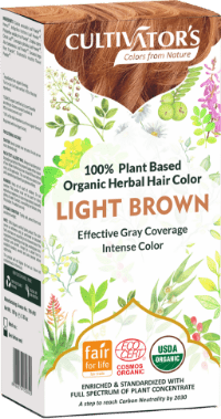 Organic Trachyspermum Ammi (Ajwain) Seeds Powder