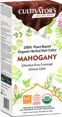 Organic Trachyspermum Ammi (Ajwain) Seeds Powder