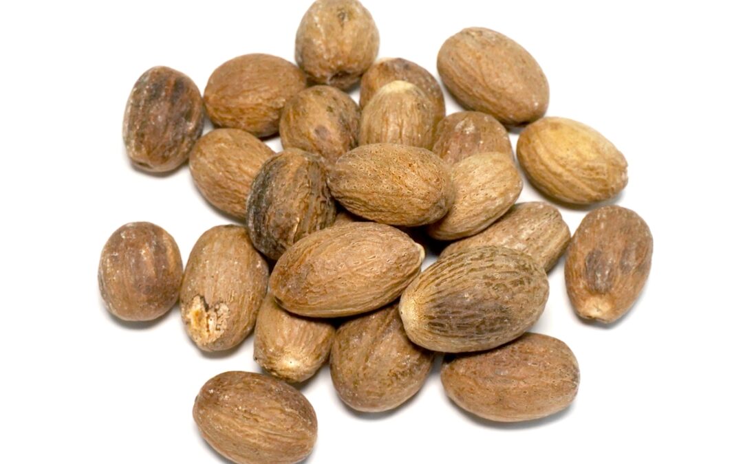Organic Myristica fragrans (Nutmeg) Seeds