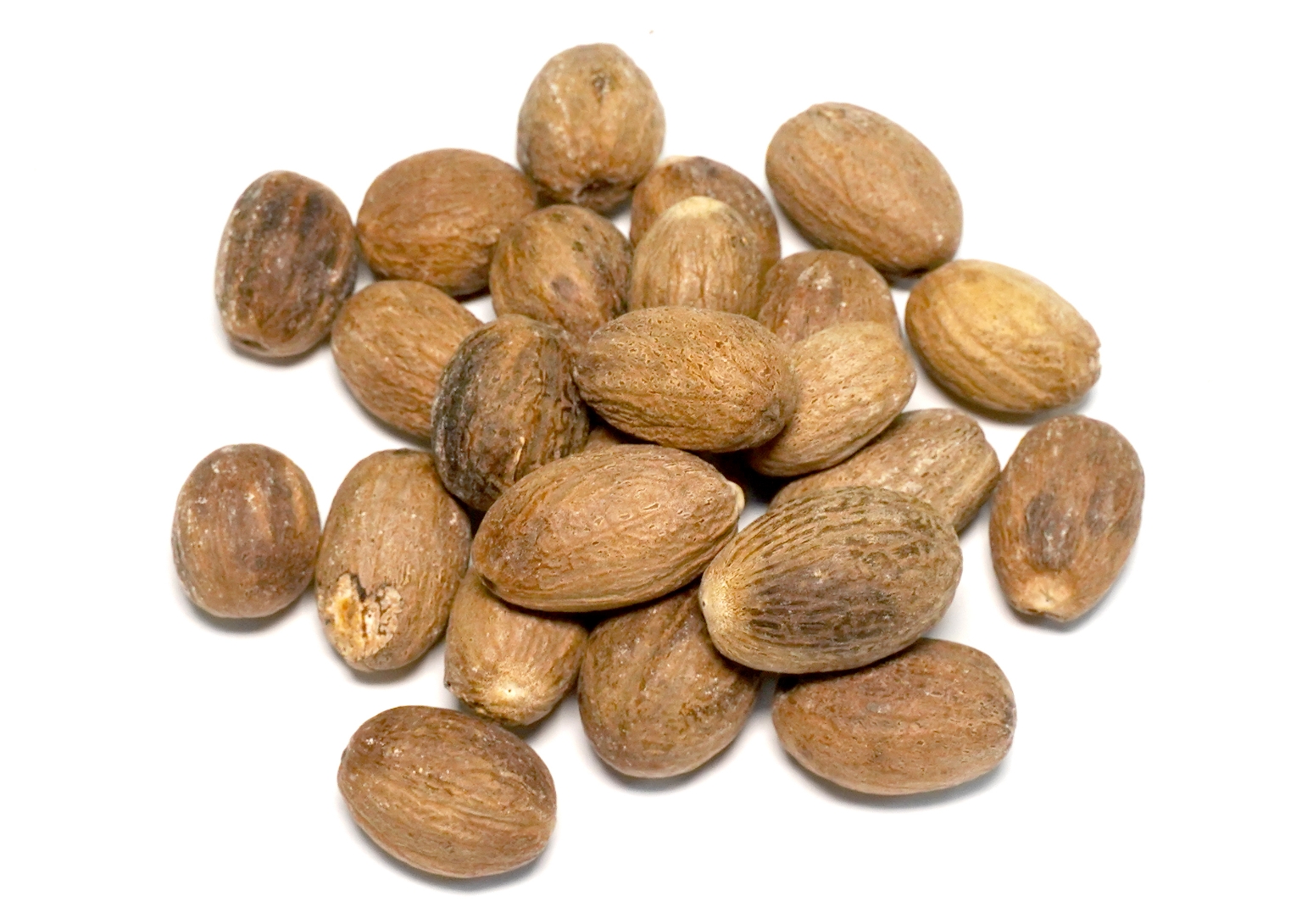 Organic Trachyspermum Ammi (Ajwain) Seeds Powder