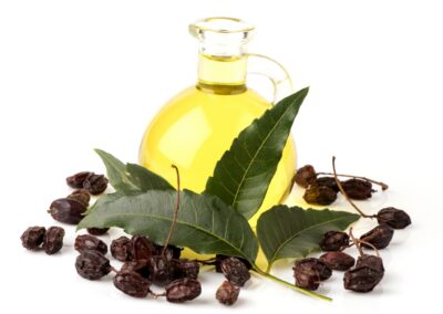 Organic Azadirachta indica (Neem) Seed Oil