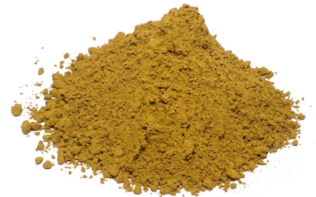 Organic Ocimum sanctum (Rama Tulsi) Leaves