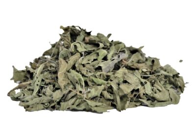 Organic Ocimum sanctum (Rama Tulsi) Leaves