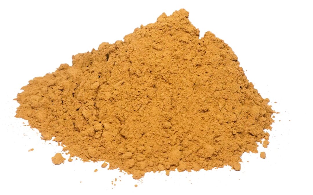 Organic Cinnamomum zeylanicum (Dalchini / Cinnamon) Bark