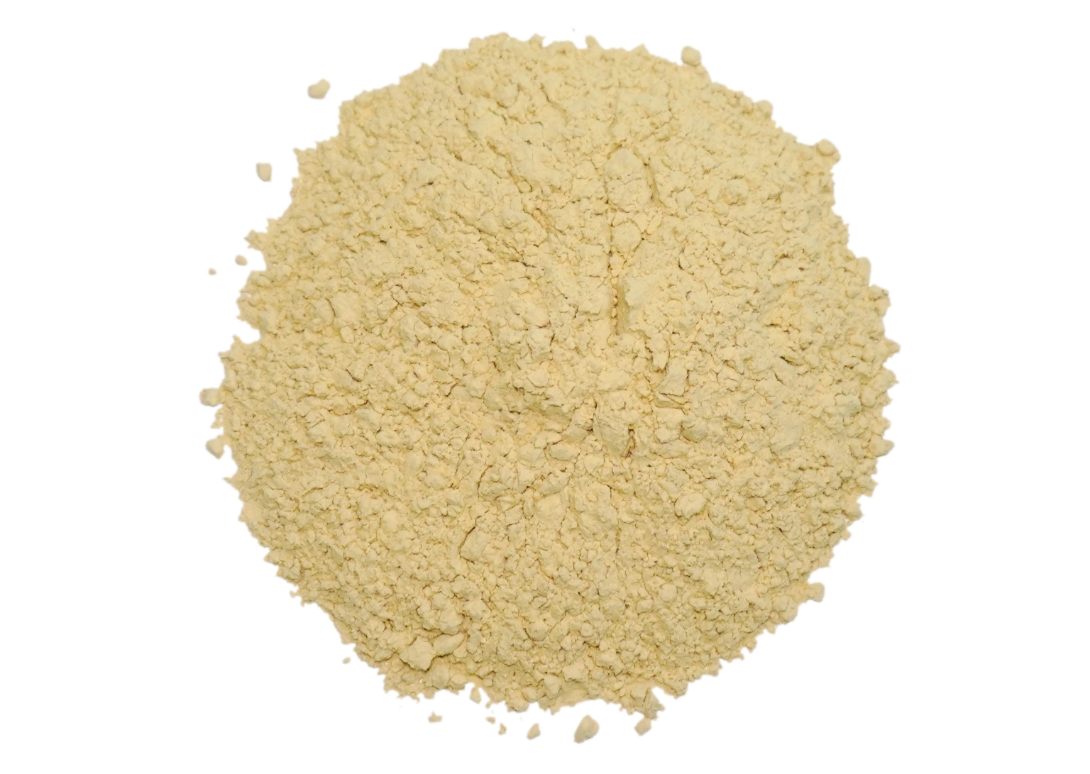 Organic Trachyspermum Ammi (Ajwain) Seeds Powder