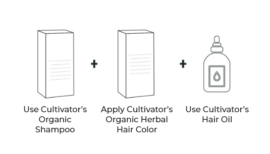 Perfect Solution for Healthy Hair Image