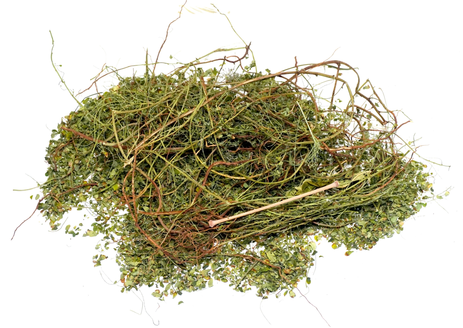 Organic Trachyspermum Ammi (Ajwain) Seeds Powder