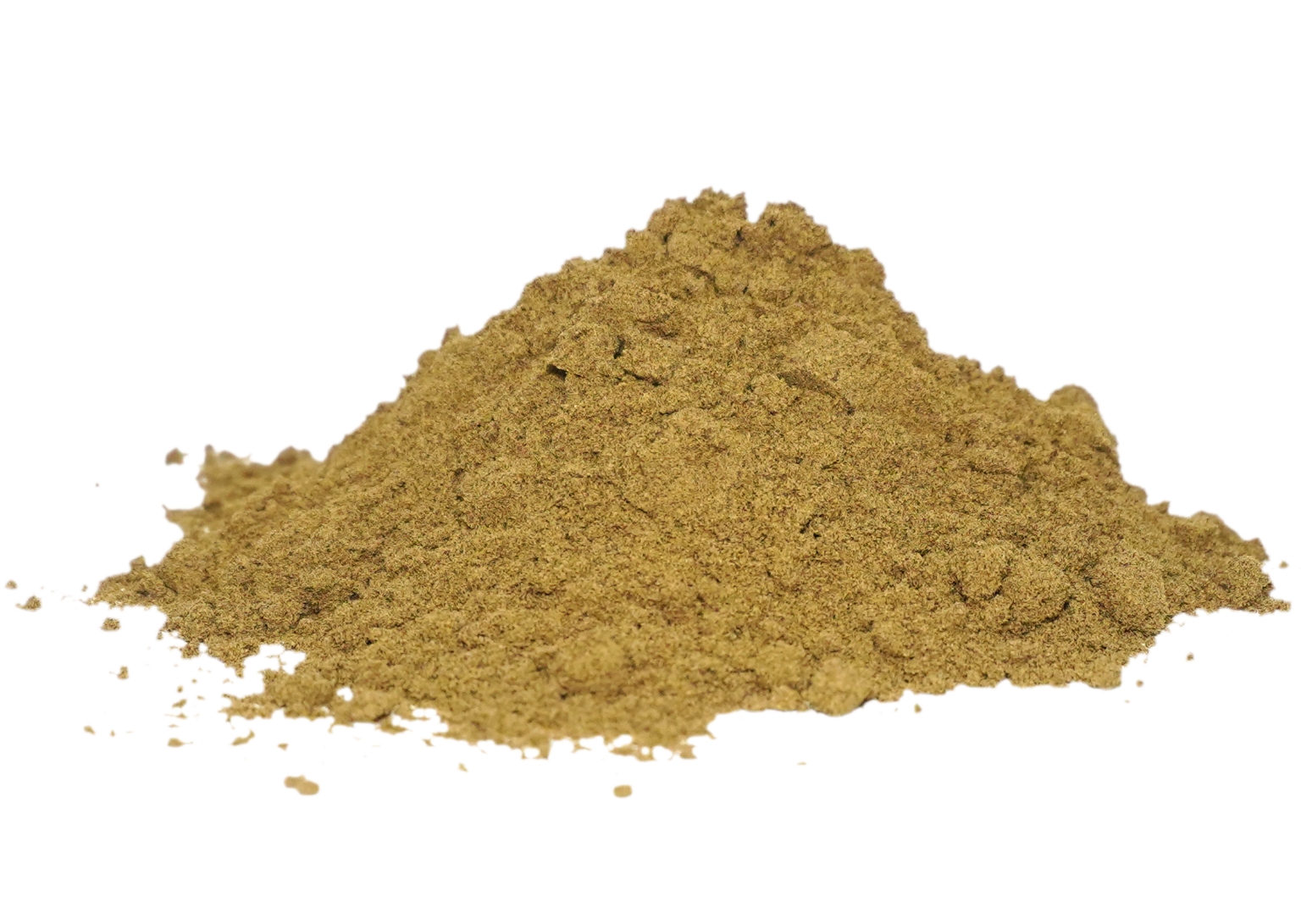 Organic Trachyspermum Ammi (Ajwain) Seeds Powder