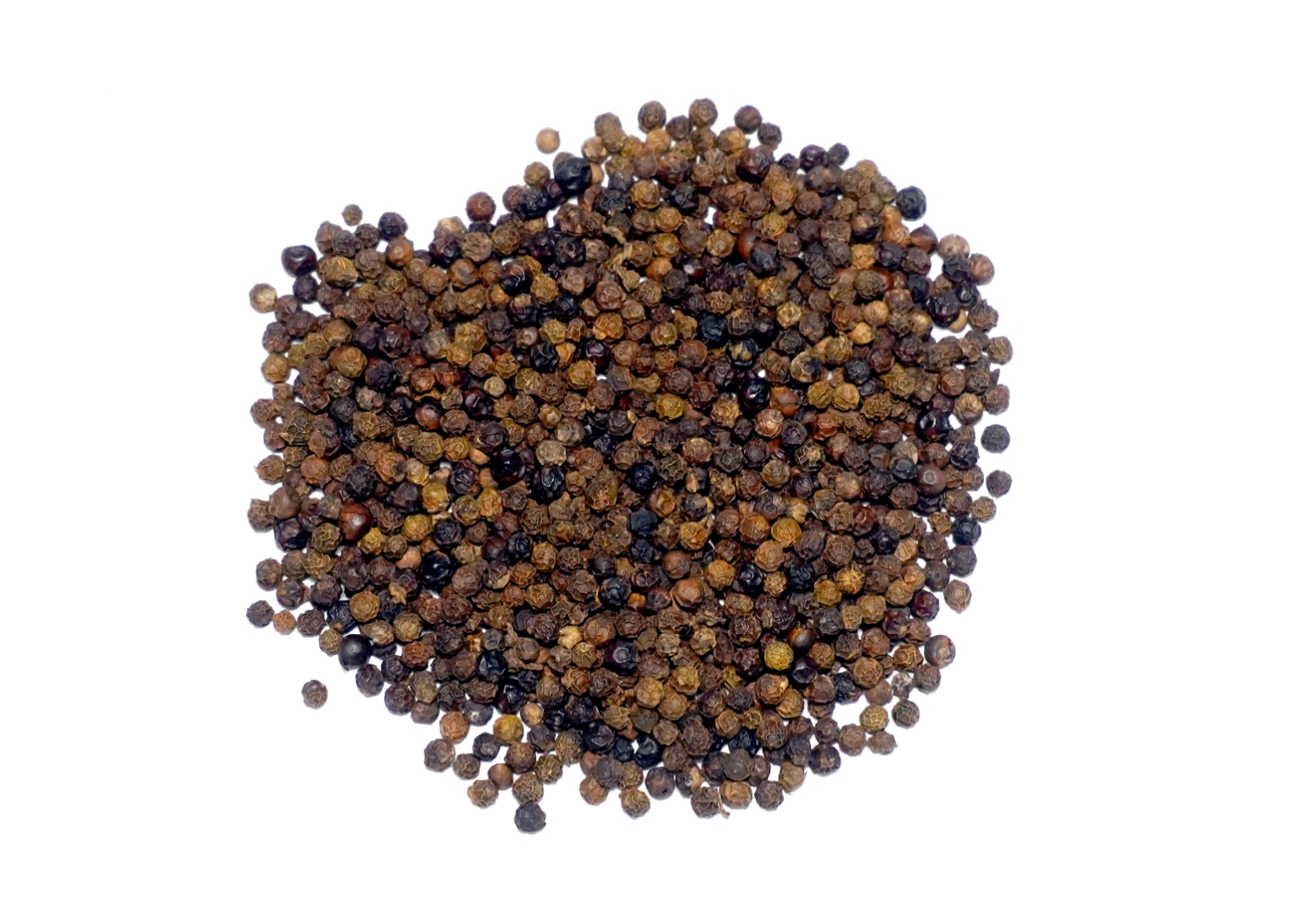 Organic Trachyspermum Ammi (Ajwain) Seeds Powder