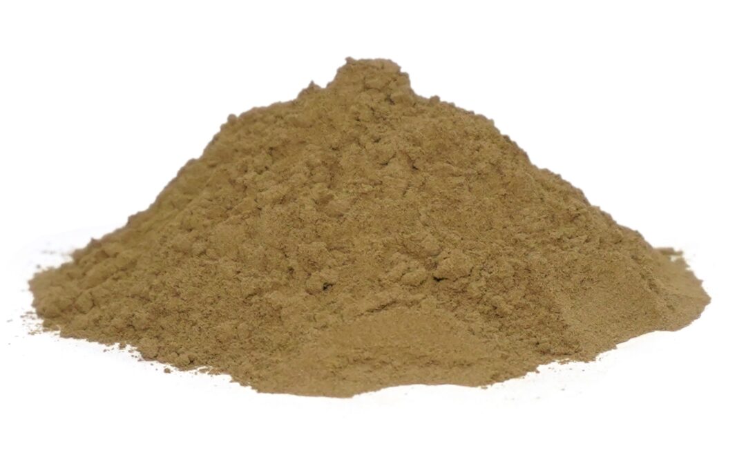 Organic Piper nigrum (Black Pepper) Fruits