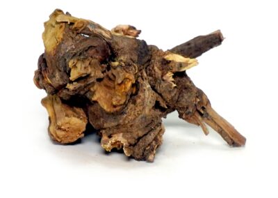 Organic Plumbago zeylanica (Chitrak) Roots